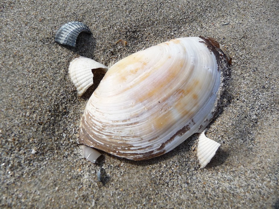 C'était début mars ...