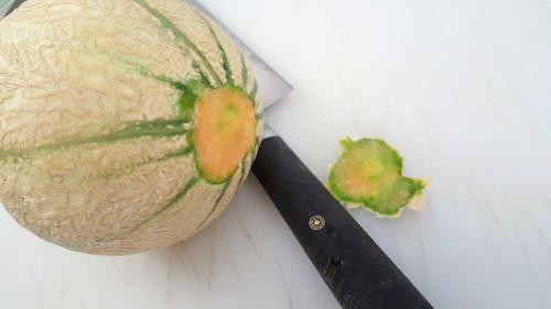 Cocktail de melon