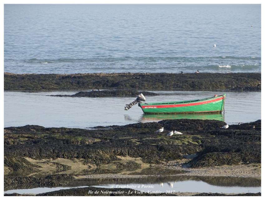 Ile de Noirmoutier - le Vieil - Vendée - 