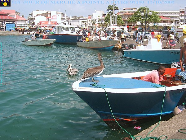 315 GUADELOUPE 6 - 20 - 03 - 2007