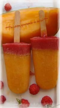 SUCETTES GLACÉES MELON,FRAMBOISES