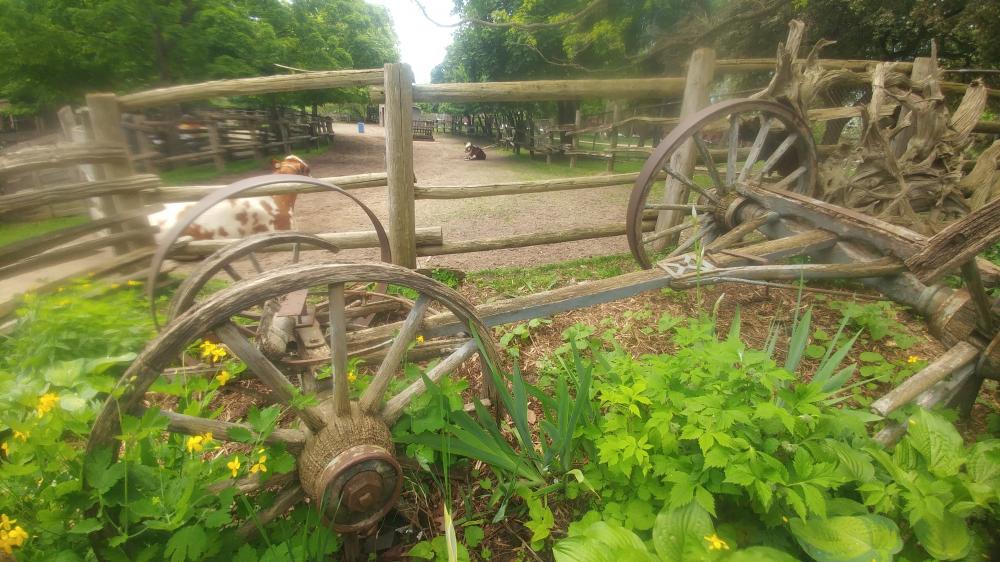 Long Weekend in Toronto from May 17th 2024 until May 20th 2024: Second Day