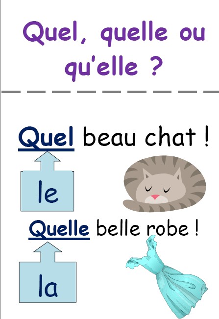 Les homophones grammaticaux