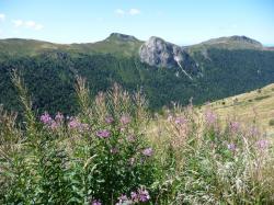 Lundi en une, deux , trois, quatre, ( et bien plus encore ) Photos !