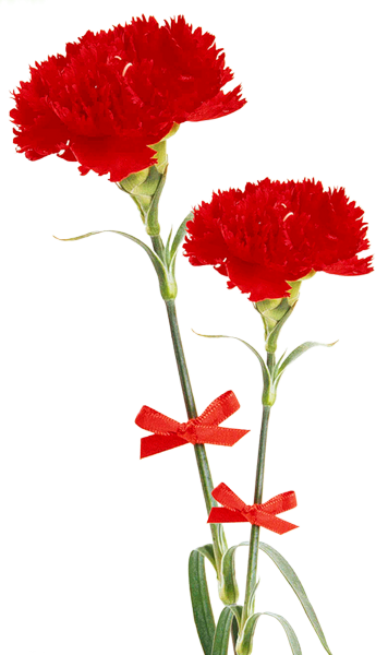 http://ekladata.com/jypQIj-W4SrOlQ_lYfvc8ndHCjg.png