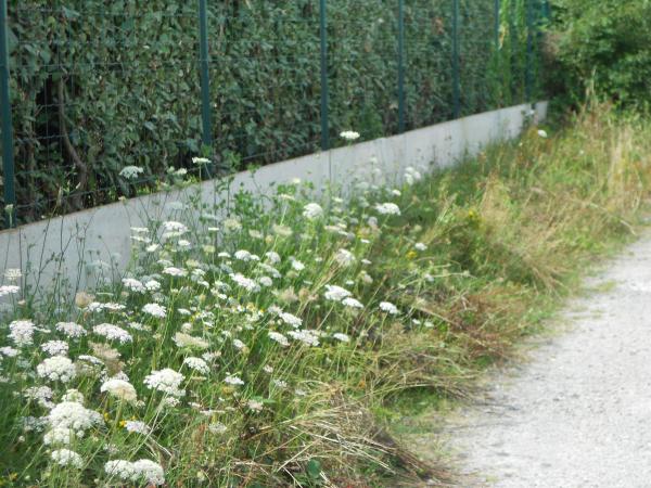 Vive la vie à la campagne … !!!