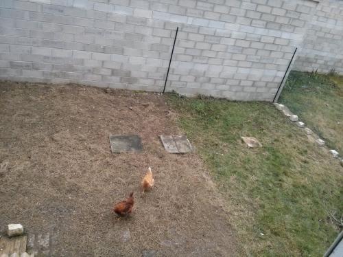 Eh Eh ça fait un bail!!!