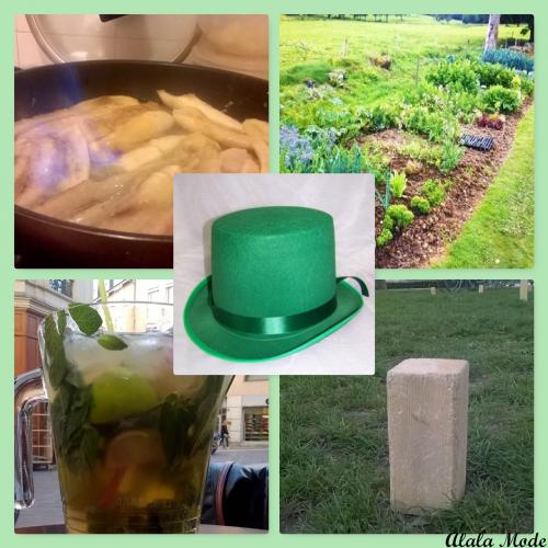 Collect moments not things #13