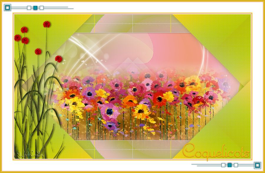Coquelicots