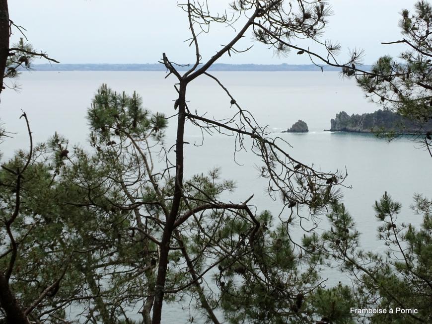 Le cap de la Chèvre - Finistere - Mai 2019