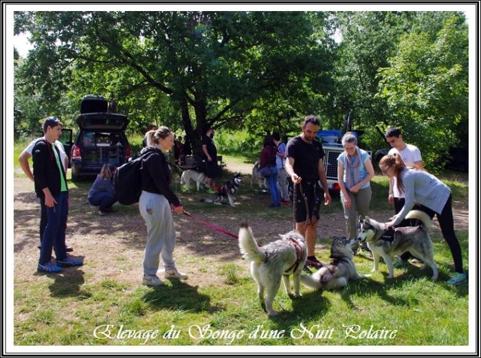 Rencontre Songe d'une Nuit Polaire (9 juin 2019)