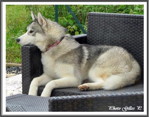 Iska (6 mois)