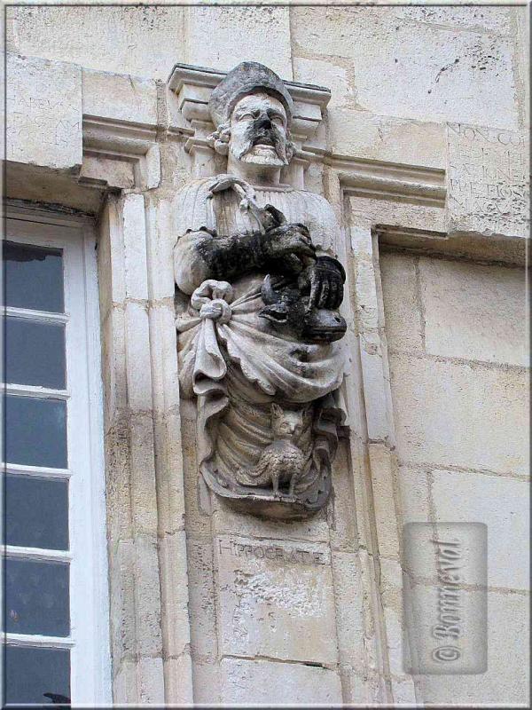 La Rochelle rue Nicolas Venette statue d'Hippocrate