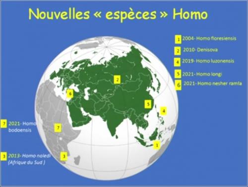XXIe siècle ''nouvelles espèces'' d'Homo.jpg