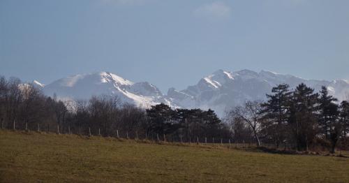 L'herbier de Marie Antoinette