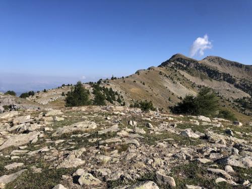 Dormillouse, retour par les crêtes (Seyne - Montclar)