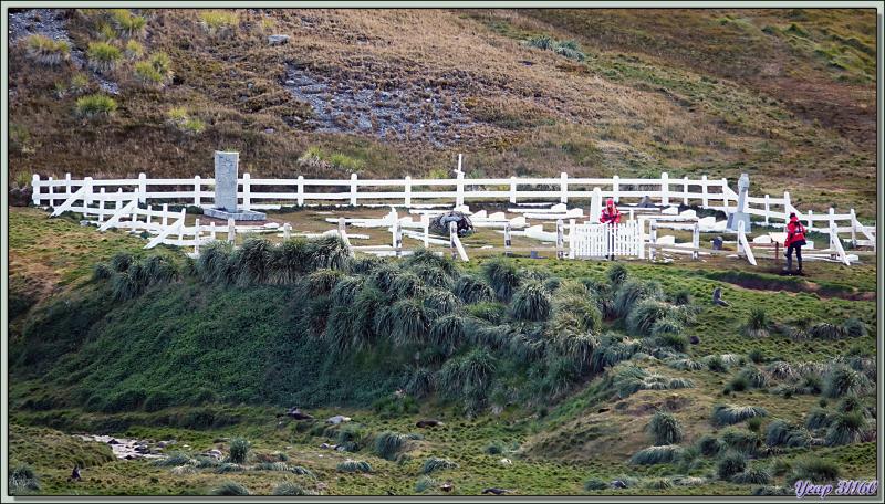 Retour sur le bateau, dernières photos de King Edward Cove avec Grytviken et son cimetière - Géorgie du Sud 