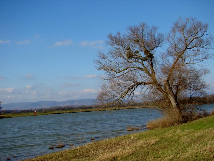Département de la Côte d'Or