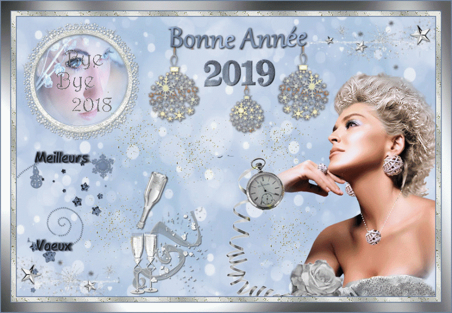 Bonne Année 2019