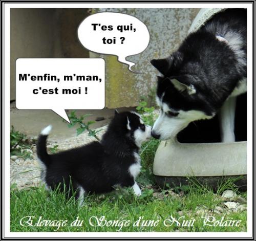 Portée d'Ourika (19 mars 2021)