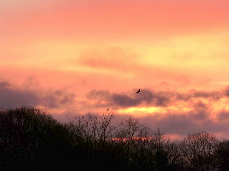 Dernières vues et je descends.
