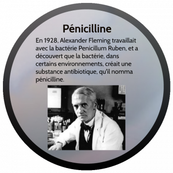 DECOUVERTES