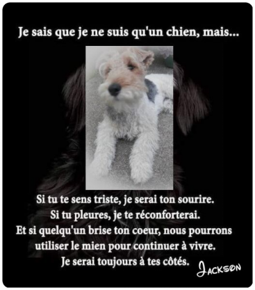 ⊱♥⊱╮ღ꧁ Connaître L'auteur du Blog ꧂ღ ⊱♥≺