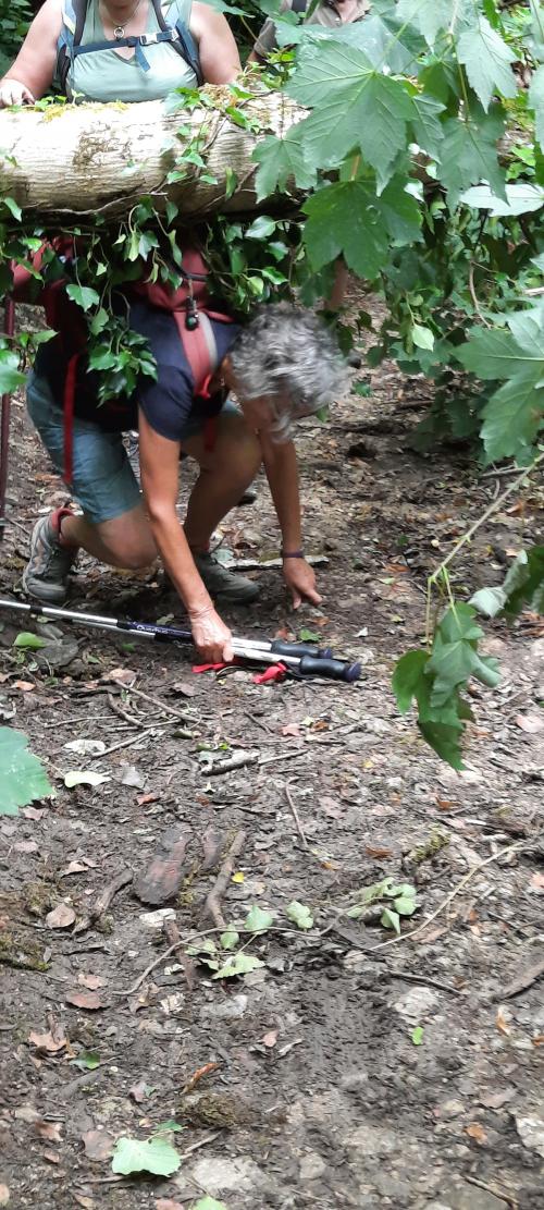 "Les Anis" Partie 2 - Samedi 13 juillet 2024