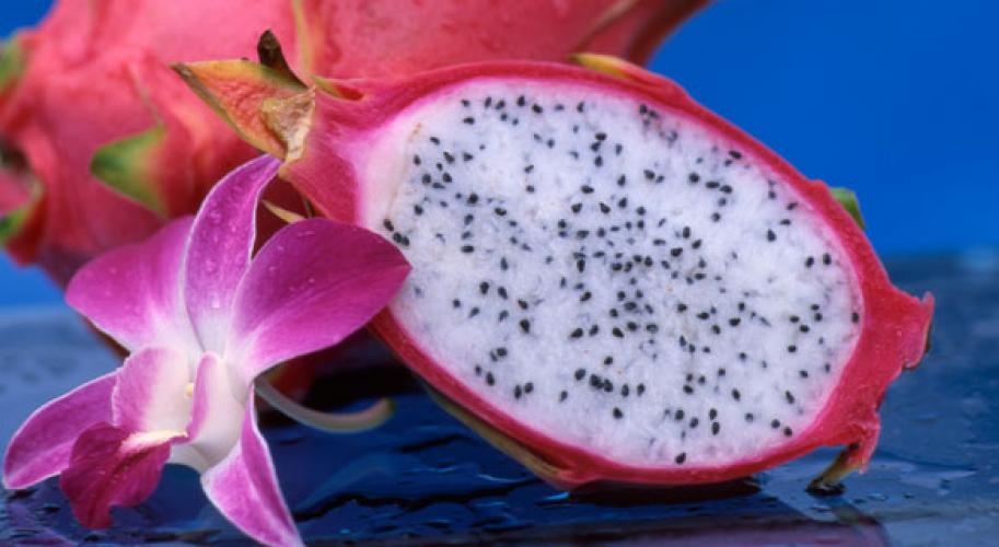 dragon-fruit-stockfood-main