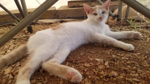 Voilà, c'est fini !