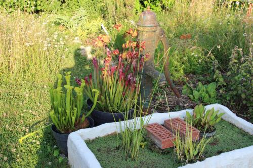 Chambre d'ôtes "Haut-Jardin" à Vignoux-sous-les-Aix