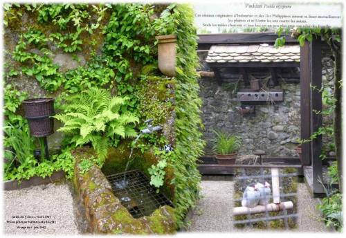 Voyage à Yvoire : Jardin des 5 sens