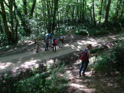 CR / RANDO 15 - RIONS - Lac de Laromet