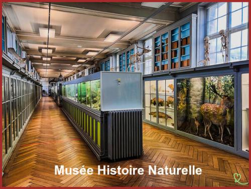 ⊱♥⊱╮ღ꧁ Aujourd'hui Département 76 ꧂ღ╭⊱♥≺