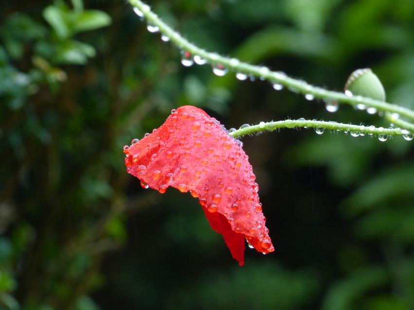 Aimer la pluie c'est pôssible!