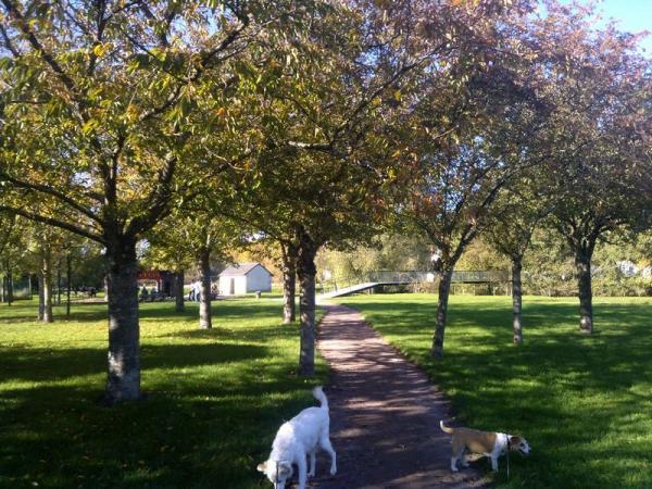 Issoudun au soleil d'automne