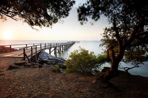 Ile de Noirmoutier  ( Vendée )