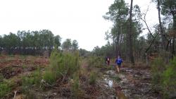 CR / RANDO 15 / ST-MEDARD-EN-JALLES
