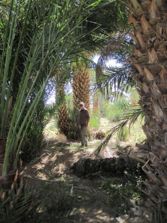 Depuis Essaouira le retour 2 ...