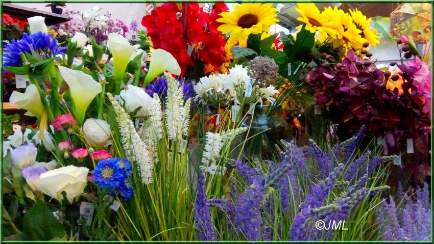 Des photos de plantes prises dans les jardineries(suite)