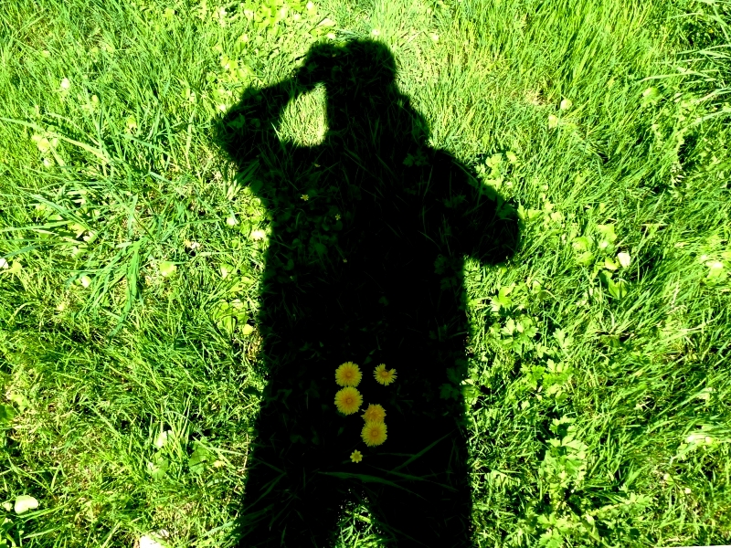 Metz / Un printemps Ying et Yang...