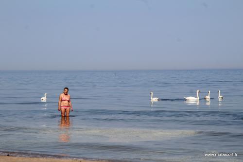 Lettonie du 13 au ....