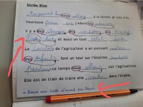 Les balles d'accord en CE