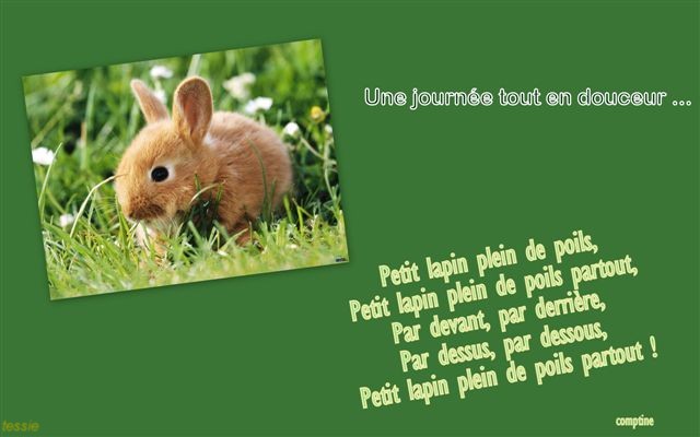 Lapin ... lapin ...