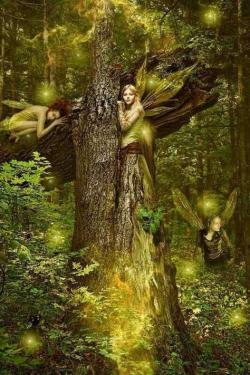 Promenons nous dans les bois...