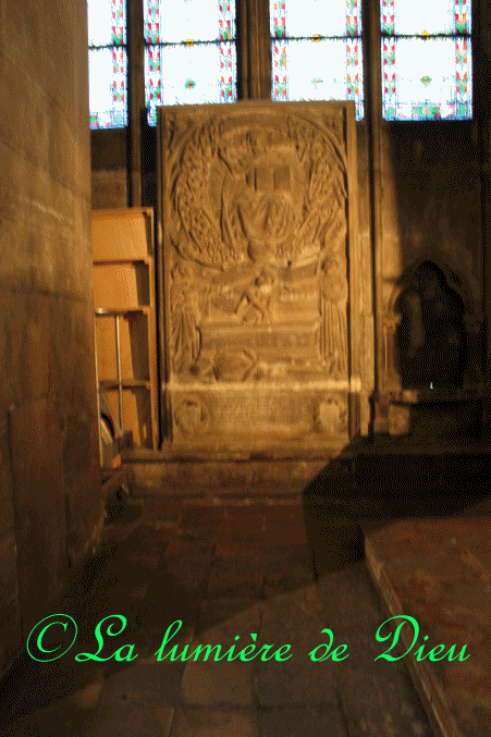 La cathédrale Notre-Dame de Paris
