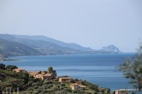 Lundi 19 au dimanche 25.10 + Bonus