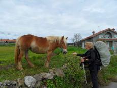 (J13) Santona / Güemes 17 Avril 2012 (Noja / san Miguel de Muruelo)