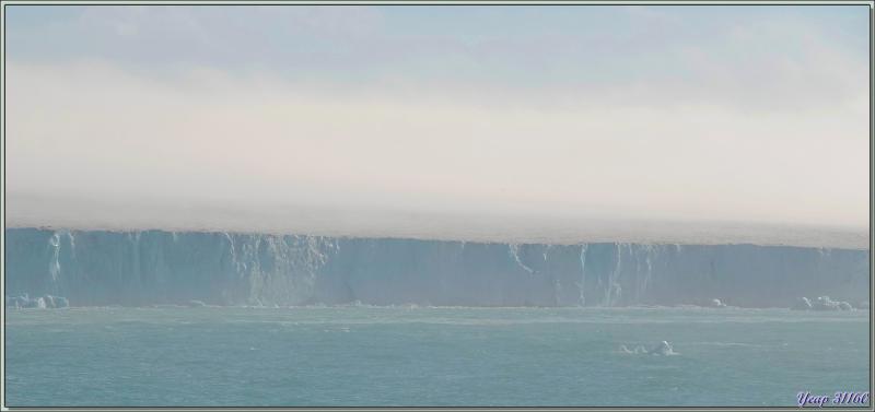 12/07/2024 : navigation le long du spectaculaire glacier Bråsvell (Bråsvellbreen) - Calotte glacière Austfonna - Nordaustlandet Island - Svalbard - Norvège