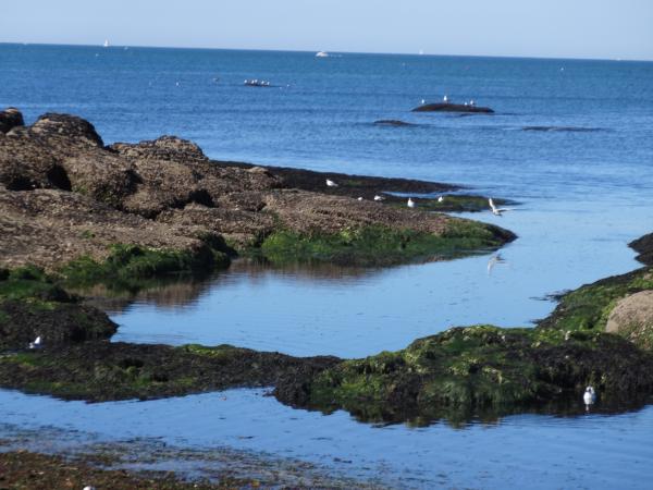 La plage Sainte Elisabeth à la Turballe